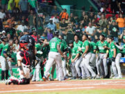 Nadie puede con Estrellas y Licey