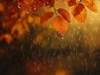 Indomet advierte sobre lluvias, tronadas y altas temperaturas en el país