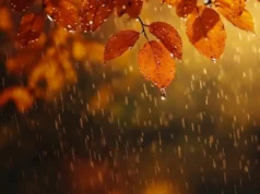 Indomet advierte sobre lluvias, tronadas y altas temperaturas en el país