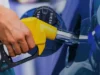 Gobierno congela precios de los principales combustibles